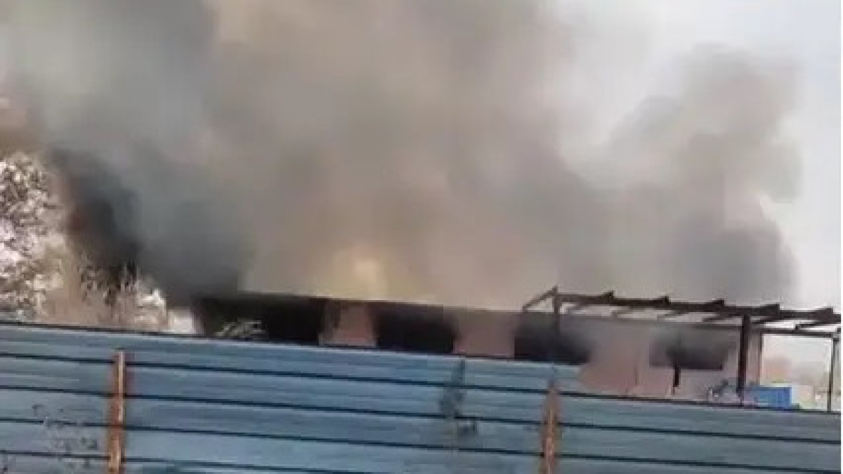  видеодан кадр