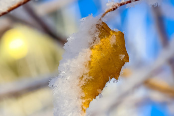 Фотография к новости: 14 өңірде ауа райына байланысты дауылды ескерту жарияланды