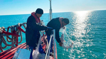 Фотография к новости: Каспийде 57 браконьерлік оқиғаға тосқауыл қойылды