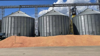 Фотография к новости: Екі айда 2,2 млн тоннадан астам қазақстандық астық жөнелтілді