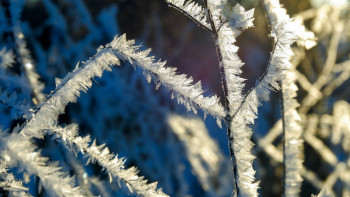 Фотография к новости: Қазгидромет: Қарашада 24 градусқа дейін аяз болады