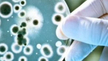 Фотография к новости: Елімізде сібір жарасымен сырқаттанушылар саны екі есе төмендеді