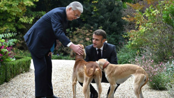 Фотография к новости: Елисей сарайының бағында Тоқаев пен Макрон серуенге тазыларды ертіп шықты