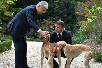 Фотография к новости: Елисей сарайының бағында Тоқаев пен Макрон серуенге тазыларды ертіп шықты