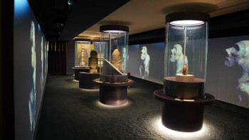 Фотография к новости: Францияның әйгілі Гиме музейінде "Қазақстан: Ұлы Дала жауһарлары" көрмесі ашылды