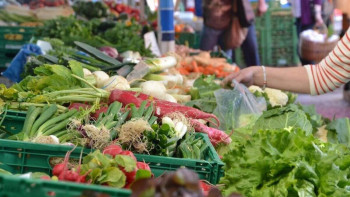 Фотография к новости: Астанадағы ауыл шаруашылығы жәрмеңкесі: апта сайын фермерлердің жаңа өнімдері ұсынылады