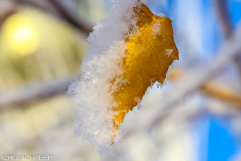 Фотография к новости: Боран, қар аралас жауын жауады. Алдағы күндері күн райы қандай болады