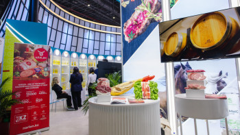 Фотография к новости: CIIE 2024. 50 миллион доллар сомасында экспорттық келісімшарттарға қол қойылды