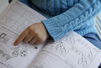 Фотография к новости: Педагогикадан хабары жоқ адам сабақ береді – депутат