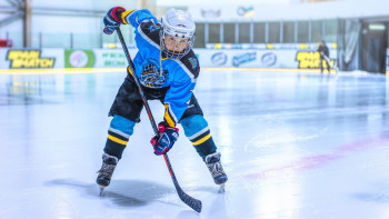 Фотография к новости: Шайбалы хоккей бойынша мемлекеттік сатып алулар жасалмайтын болды