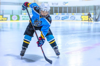 Фотография к новости: Шайбалы хоккей бойынша мемлекеттік сатып алулар жасалмайтын болды