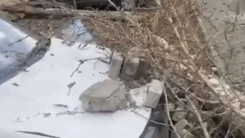 Фотография к новости: Павлодарда әйелдің үстіне ағаш құлап, мерт болды