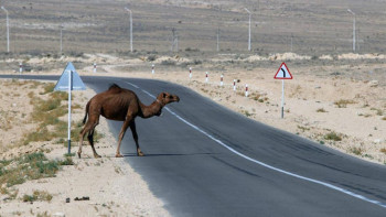Фотография к новости: Маңғыстау ауданында «Ауыл аманаты» жобасы тиімді жүзеге асырылуда