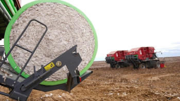 Фотография к новости: Айдарбек Сапаров түркістандық диқандарды мақта шаруашылығын дамытуға шақырды