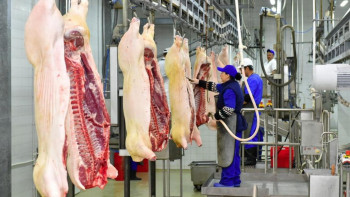 Фотография к новости: Алматыда жылына 3,5 мың тонна өнім өндіретін ет комбинаты салынады