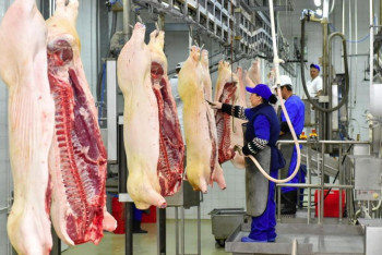 Фотография к новости: Алматыда жылына 3,5 мың тонна өнім өндіретін ет комбинаты салынады