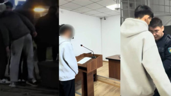 Фотография к новости: Гүлзарға зиян келтірген бұзақы он тәулікке қамалды