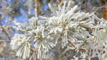 Фотография к новости: Қар, көктайғақ: Бірнеше өңірде дауылды ескерту жарияланды