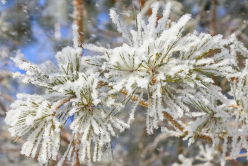 Фотография к новости: Қар, көктайғақ: Бірнеше өңірде дауылды ескерту жарияланды