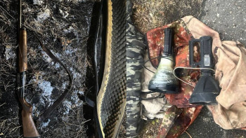 Фотография к новости: СҚО-да полицейлер заңсыз аң аулаған күдіктілерді ұстады