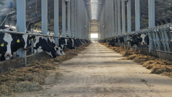 Фотография к новости: Солтүстік Қазақстанда жаңа сүт фермасы ашылды