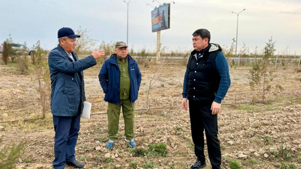  Түркістан облысы әкімдігі