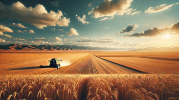 Фотография к новости: Биыл елімізде рекордтық деңгейдегі астық жиналды