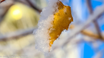 Фотография к новости: Демалыс күндері күн жылынады