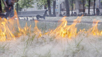 Фотография к новости: Табиғаттағы өрттің 90%-ы адамдардың кесірінен – экобелсенді