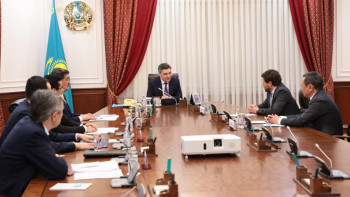 Фотография к новости: Бектенов британдық SEFE компаниясы өкілімен орман климаттық жобасының басталуын талқылады