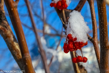 Алдағы үш күнге арналған ауа райы болжамы