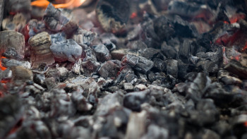 Фотография к новости: Қостанай облысында 4 адам уланып қаза тапты