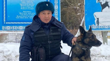 Фотография к новости: Қызметтік ит ұландықтарға есірткі табуға көмектесті