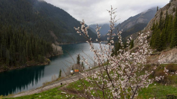 Фотография к новости: Алматы облысы туристер саны бойынша жаңа рекорд орнатты