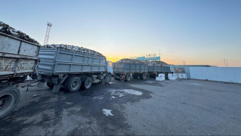 Фотография к новости: Жетісу қант зауыты алдындағы кезек 5 шақырымға дейін cозылған