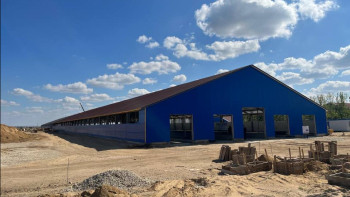 Фотография к новости: Ақтөбеде 800 басқа арналған сүт-тауар фермасының құрылысы аяқталды