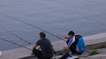 Фотография к новости: Балық өсірушілерге субсидия берілуі мүмкін