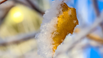 Фотография к новости: Британияда қар жауып, мектептер жабылды