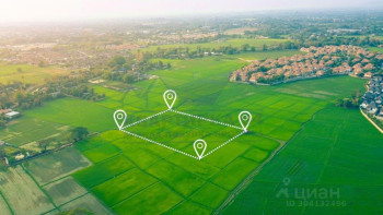 Фотография к новости: СҚО-да ауыл шаруашылығының жерлері мемлекетке қайтарылды