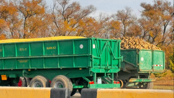 Фотография к новости: Жетісуға қар күрейтін техника қажет