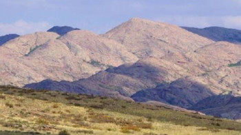 Фотография к новости: Ұлытау облысында 170 мың гектардан астам жер мемлекетке қайтарылды