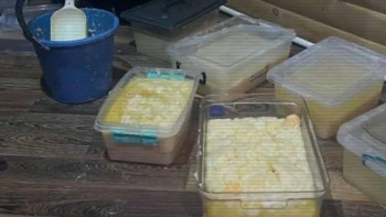 Фотография к новости: ІІМ: Синтетикалық есірткі өндірумен және өткізумен айналысқан ҰҚТ жойылды