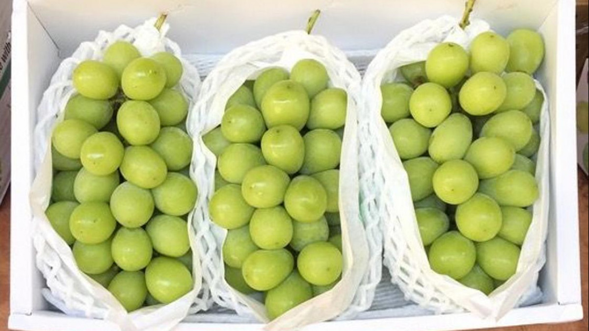  Ауыл шаруашылығы министрлігі