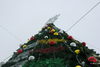 Фотография к новости: Шымкент әкімі жаңажылдық безендіруге қанша қаражат бөлінгенін айтты