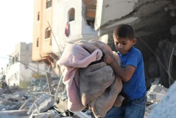 Фотография к новости: Газа секторында гуманитарлық жүк тиелген көліктер тоналды