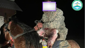 Фотография к новости: Алматы облысында браконьер ұсталды