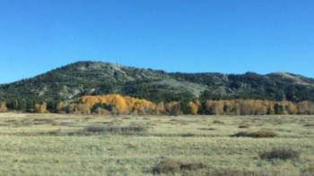 Фотография к новости: Қарағанды облысында жерді қайтару жоспары артығымен орындалды