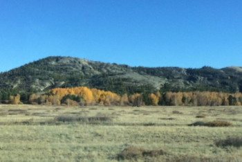 Фотография к новости: Қарағанды облысында жерді қайтару жоспары артығымен орындалды
