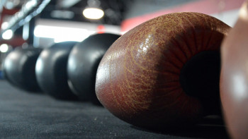 Фотография к новости: Бокстан Азия чемпионатына дайындық қалай