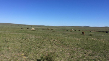 Фотография к новости: Қарағанды облысында жерді қайтару жоспары артығымен орындалды